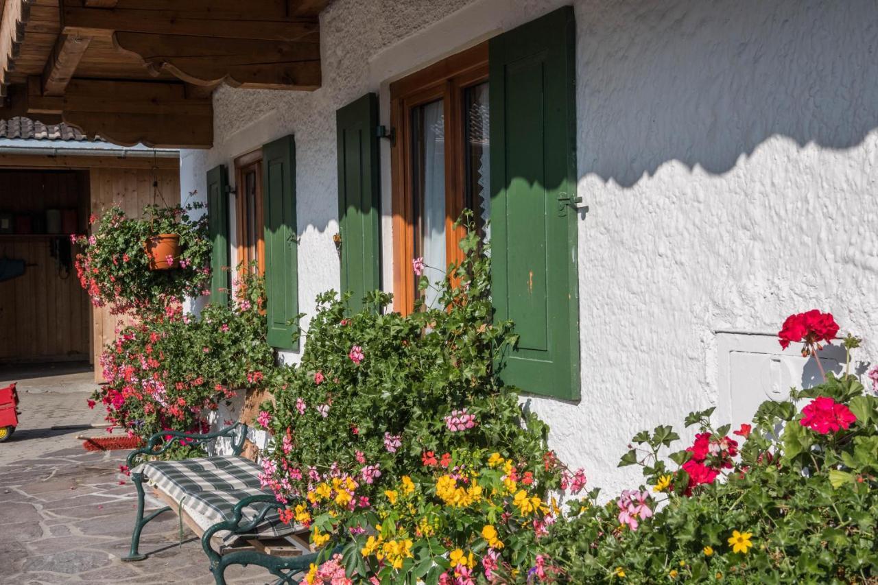 Ferienwohnung Waxenstein Грайнау Екстериор снимка